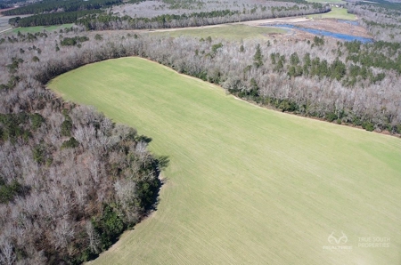 Brunson Farming & Hunting Land - image 26