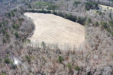 Brunson Farming & Hunting Land - image 17