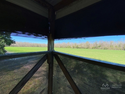 Brunson Farming & Hunting Land - image 8