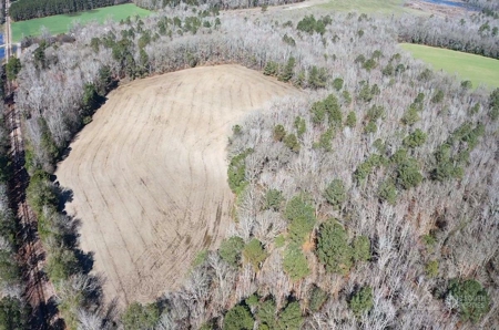 Brunson Farming & Hunting Land - image 18