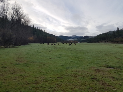Land for Sale in Northern Calfornia, Siskiyou County - image 5