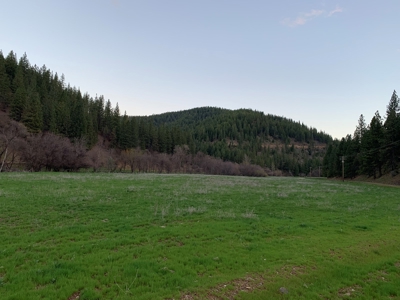 Land for Sale in Northern Calfornia, Siskiyou County - image 3