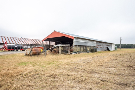 HEMP FARM with cattle, hay and poultry IN NORTH FLORIDA - image 16