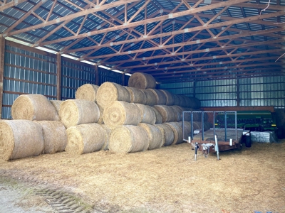HEMP FARM with cattle, hay and poultry IN NORTH FLORIDA - image 12