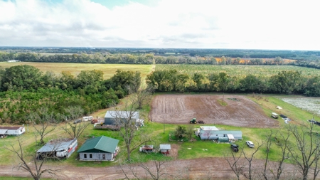 HEMP FARM with cattle, hay and poultry IN NORTH FLORIDA - image 18