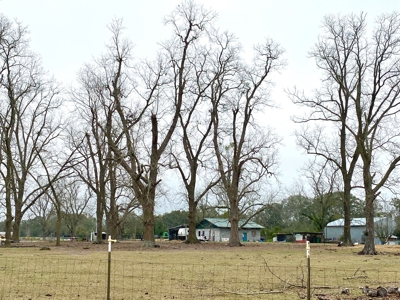 HEMP FARM with cattle, hay and poultry IN NORTH FLORIDA - image 5