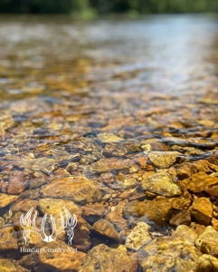5 acres m/l. Shannon County Missouri RIVERS EDGE RESORT - image 1