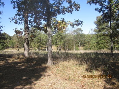 Private and Secluded Home Minutes to Lake Bull Shoals - image 3