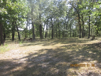 Private and Secluded Home Minutes to Lake Bull Shoals - image 4