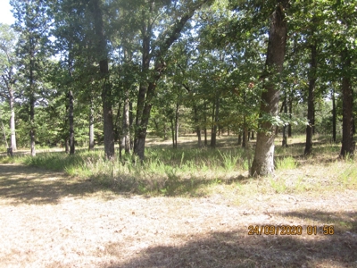 Private and Secluded Home Minutes to Lake Bull Shoals - image 5