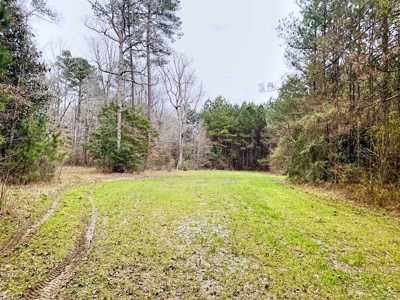 203 Acres Turnkey Hunting Land for Sale Amite County, MS - image 13