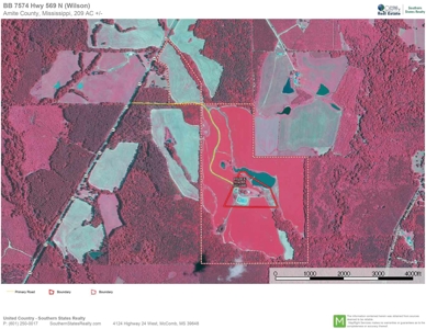 203 Acres Turnkey Hunting Land for Sale Amite County, MS - image 25