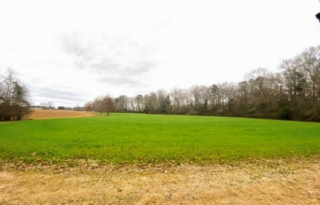 203 Acres Turnkey Hunting Land for Sale Amite County, MS - image 1