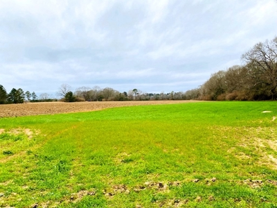 203 Acres Turnkey Hunting Land for Sale Amite County, MS - image 2