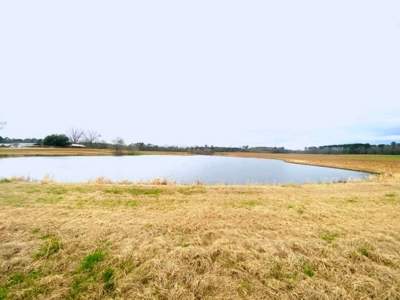 203 Acres Turnkey Hunting Land for Sale Amite County, MS - image 10