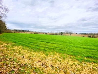 203 Acres Turnkey Hunting Land for Sale Amite County, MS - image 11