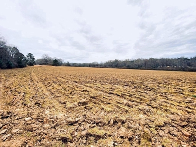 203 Acres Turnkey Hunting Land for Sale Amite County, MS - image 17