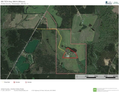 203 Acres Turnkey Hunting Land for Sale Amite County, MS - image 22