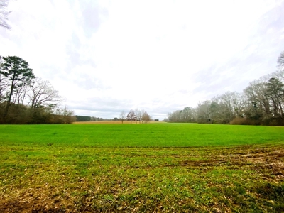 203 Acres Turnkey Hunting Land for Sale Amite County, MS - image 15