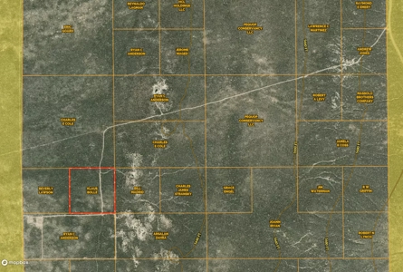 Nevada Recreational Hunting Mountain Desert Land For Sale - image 6