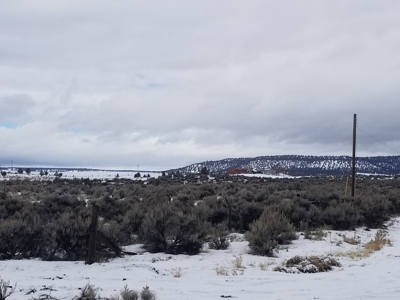 3 Bdr/3 Bth, Ranch Style, Equine Property - image 19