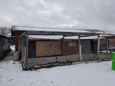 3 Bdr/3 Bth, Ranch Style, Equine Property - image 2