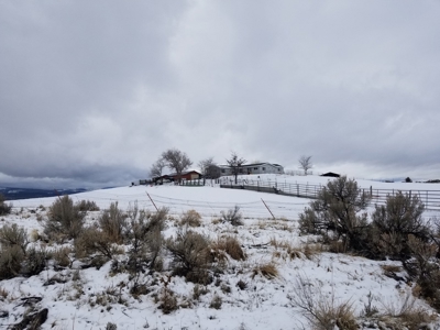 3 Bdr/3 Bth, Ranch Style, Equine Property - image 16