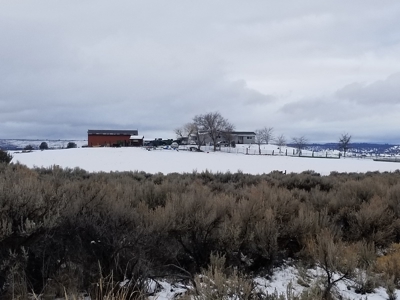 3 Bdr/3 Bth, Ranch Style, Equine Property - image 18