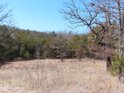 Business for sale in Arkansas - image 32