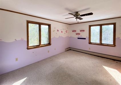 Bed & Breakfast, Lodge or Hotel Potential - image 12