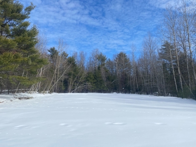 Bed & Breakfast, Lodge or Hotel Potential - image 3