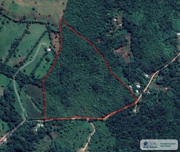 11.6 Hectares Land For Sale In Toabre Penonome Cocle Panama - image 6