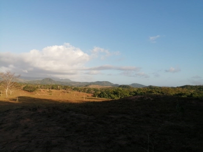 11.6 Hectares Land For Sale In Toabre Penonome Cocle Panama - image 14