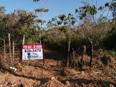 11.6 Hectares Land For Sale In Toabre Penonome Cocle Panama - image 15