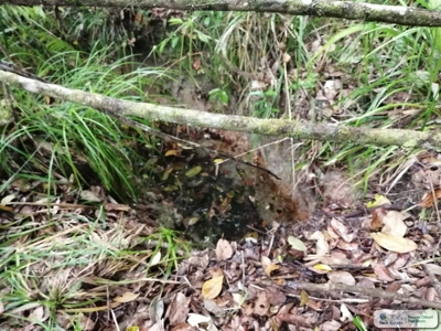 11.6 Hectares Land For Sale In Toabre Penonome Cocle Panama - image 12