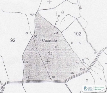 11.6 Hectares Land For Sale In Toabre Penonome Cocle Panama - image 1