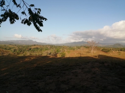 11.6 Hectares Land For Sale In Toabre Penonome Cocle Panama - image 18