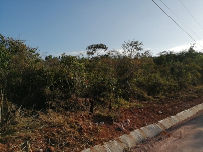 11.6 Hectares Land For Sale In Toabre Penonome Cocle Panama - image 19