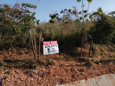 11.6 Hectares Land For Sale In Toabre Penonome Cocle Panama - image 20