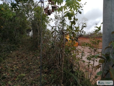 11.6 Hectares Land For Sale In Toabre Penonome Cocle Panama - image 5