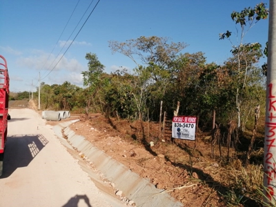 11.6 Hectares Land For Sale In Toabre Penonome Cocle Panama - image 21