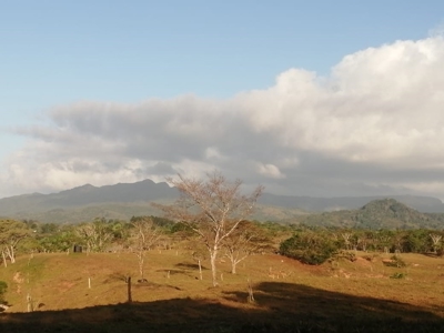 11.6 Hectares Land For Sale In Toabre Penonome Cocle Panama - image 13