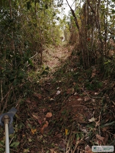 11.6 Hectares Land For Sale In Toabre Penonome Cocle Panama - image 4
