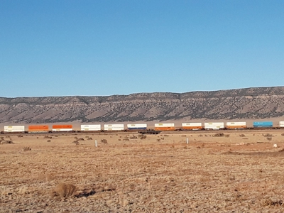 49 Acres - Travel Trailer, Solar, Septic & Water Cisterns - image 3