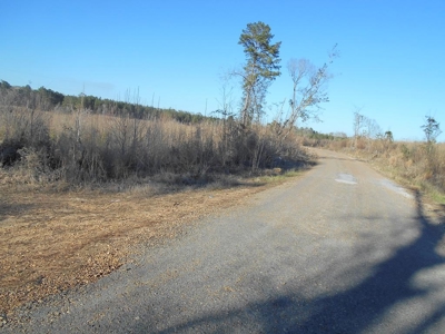 Land For Sale Hunting Land Amite County Liberty Mississippi - image 26