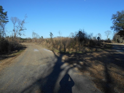 Land For Sale Hunting Land Amite County Liberty Mississippi - image 28