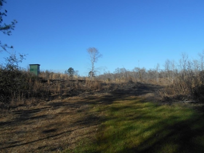 Land For Sale Hunting Land Amite County Liberty Mississippi - image 14