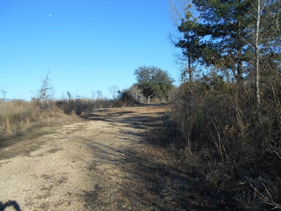 Land For Sale Hunting Land Amite County Liberty Mississippi - image 23