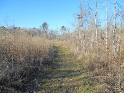 Land For Sale Hunting Land Amite County Liberty Mississippi - image 19