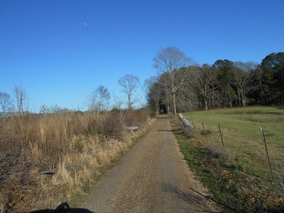 Land For Sale Hunting Land Amite County Liberty Mississippi - image 3